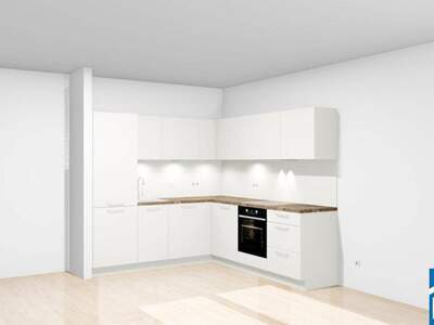 Terrassenwohnung kaufen in 1210 Wien (Bild 3)