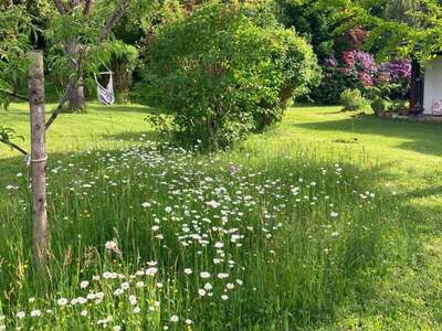 Haus kaufen in 9122 St. Kanzian (Bild 5)