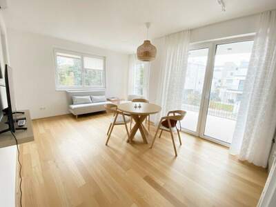 Terrassenwohnung mieten in 1220 Wien (Bild 4)