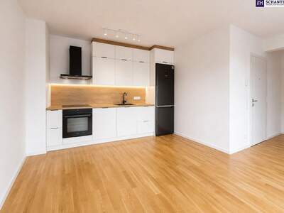 Wohnung mit Balkon mieten in 1230 Wien (Bild 4)
