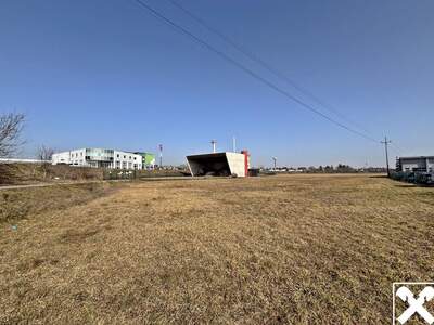 Gewerbeobjekt kaufen in 4614 Marchtrenk (Bild 1)