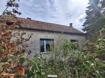 Haus kaufen in 7053 Hornstein