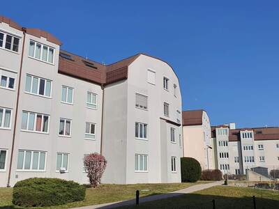 Mietwohnung in 3500 Krems (Bild 2)