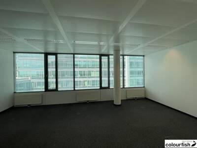 Gewerbeobjekt mieten in 1110 Wien (Bild 4)