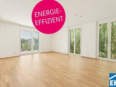 Terrassenwohnung mieten in 1140 Wien (Bild 1)