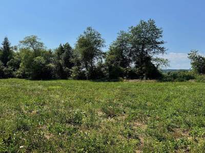 Grundstück kaufen in 8421 Wolfsberg (Bild 3)