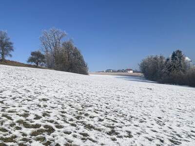 Grundstück kaufen in 4542 Nußbach (Bild 2)