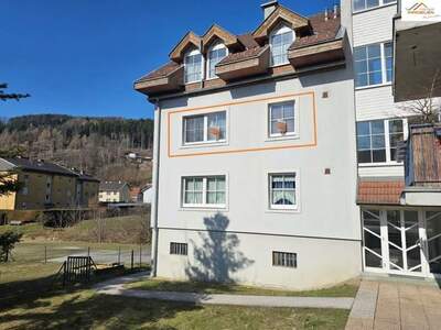 Mietwohnung in 2840 Grimmenstein