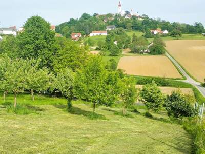 Grundstück kaufen in 8345 Straden (Bild 3)