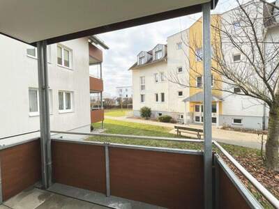 Terrassenwohnung mieten in 3140 Pottenbrunn (Bild 4)