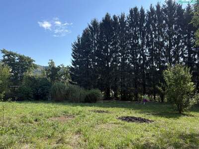 Grundstück kaufen in 8046 Graz (Bild 3)