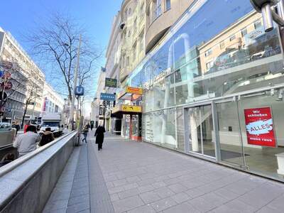 Gewerbeobjekt mieten in 1060 Wien (Bild 2)