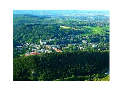 Wohnung provisionsfrei mieten in 1230 Wien