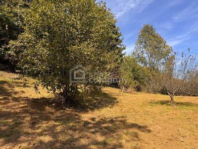 Grundstück kaufen in 8072 Dillach