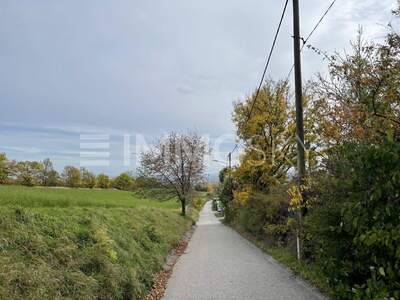 Grundstück kaufen in 2103 Langenzersdorf (Bild 4)