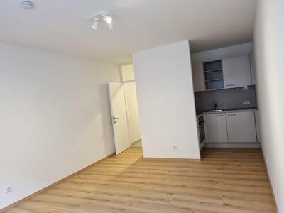 Mietwohnung in 1060 Wien (Bild 1)