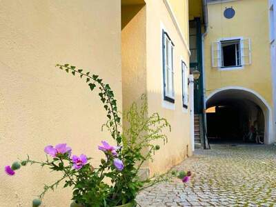 Haus kaufen in 3550 Langenlois