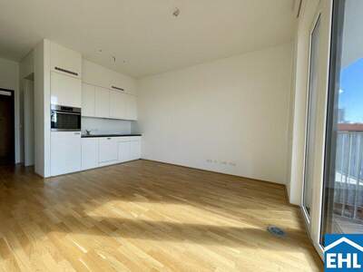 Terrassenwohnung mieten in 1030 Wien (Bild 4)