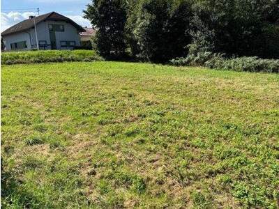 Grundstück kaufen in 4770 Andorf (Bild 3)