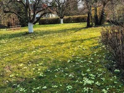 Grundstück kaufen in 3034 Maria