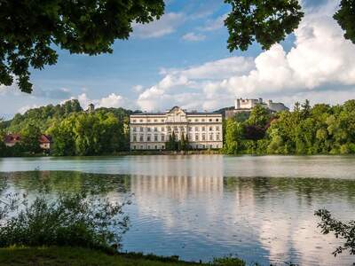 Grundstück kaufen in 5020 Salzburg (Bild 2)