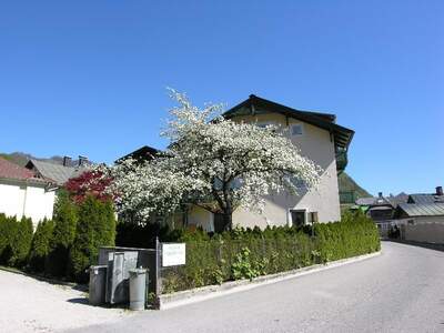 Mietwohnung in 4820 Bad Ischl (Bild 3)