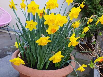 Mietwohnung in 8020 Graz