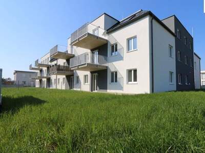 Wohnung provisionsfrei kaufen in 2231 Strasshof