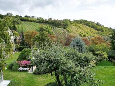 Office / Business kaufen in 1190 Wien