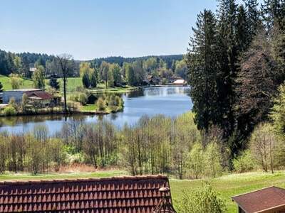 Haus kaufen in 3874 Litschau