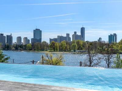 Chalet kaufen in 1220 Wien (Bild 1)