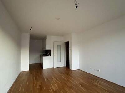 Terrassenwohnung mieten in 1190 Wien (Bild 5)