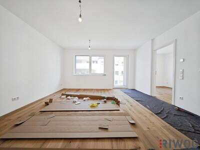 Terrassenwohnung kaufen in 1230 Wien (Bild 3)