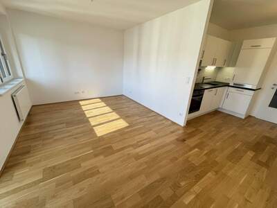 Anlageobjekt kaufen in 1060 Wien
