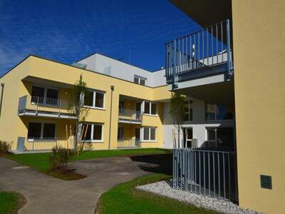 Terrassenwohnung mieten in 4300 St. Valentin (Bild 3)