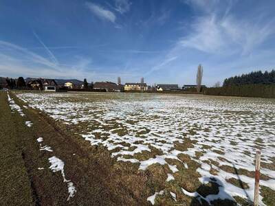 Grundstück kaufen in 8430 Leibnitz