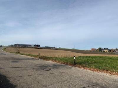 Grundstück kaufen in 4912 Neuhofen