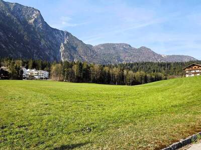 Wohnung provisionsfrei kaufen in 6252 Breitenbach