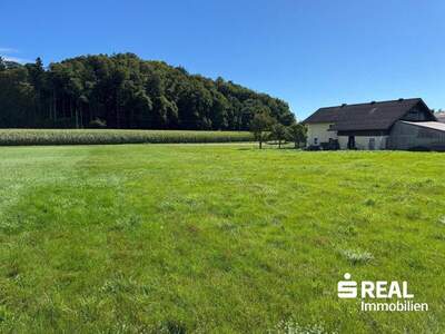 Grundstück kaufen in 5133 Gilgenberg (Bild 1)