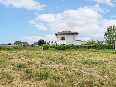 Grundstück kaufen in 4062 Thening