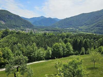 Gewerbeobjekt kaufen in 8933 Sankt Gallen (Bild 2)