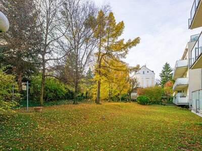 Terrassenwohnung kaufen in 1160 Wien (Bild 3)