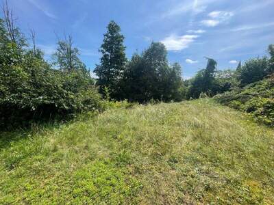 Grundstück kaufen in 9061 Klagenfurt (Bild 5)