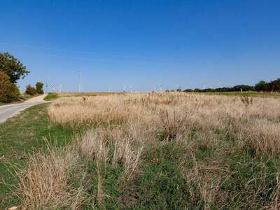 Grundstück kaufen in 7100 Neusiedl