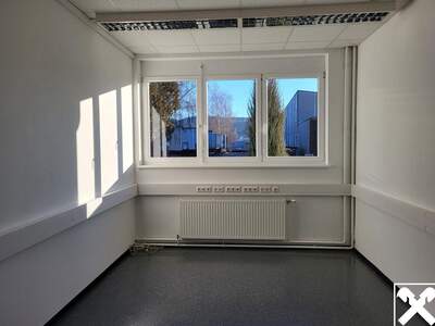 Gewerbeobjekt mieten in 4240 Freistadt (Bild 3)