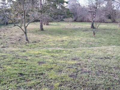 Grundstück kaufen in 2320 Schwechat