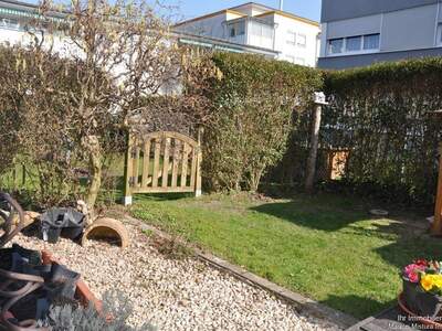 Wohnung mieten in 6900 Bregenz