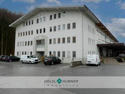 Halle / Lager / Produktion mieten in 5101 Bergheim