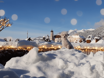 Eigentumswohnung in 6700 Bludenz