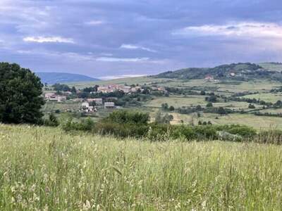 Haus mit Garten kaufen in 85021 Avigliano (Bild 4)
